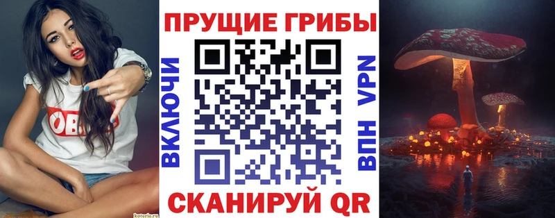 Псилоцибиновые грибы Magic Shrooms  Рубцовск 